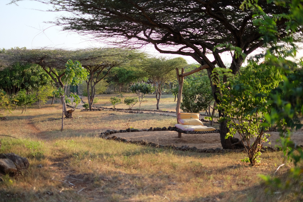 A shaded daybed beneath mature acacia trees in the Mkoko House garden