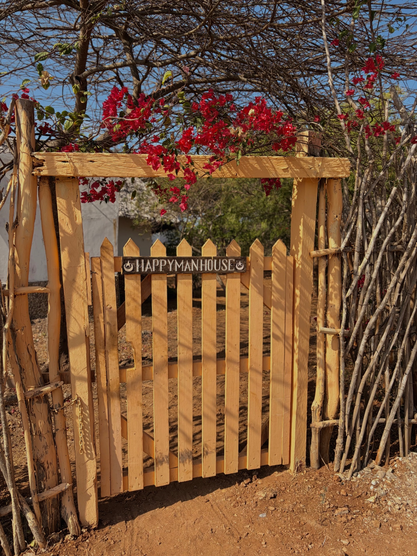 The painted wooden gate of Happy Man House, under bougainvillea and acacia branches