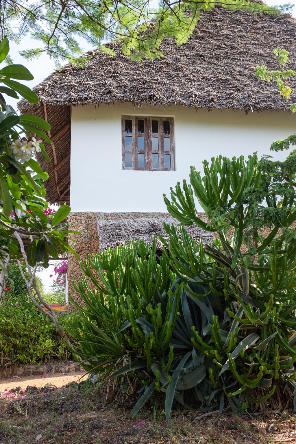 The white coral-stone facade of Mkoko House beneath its thick makuti thatched roof, framed by green foliage