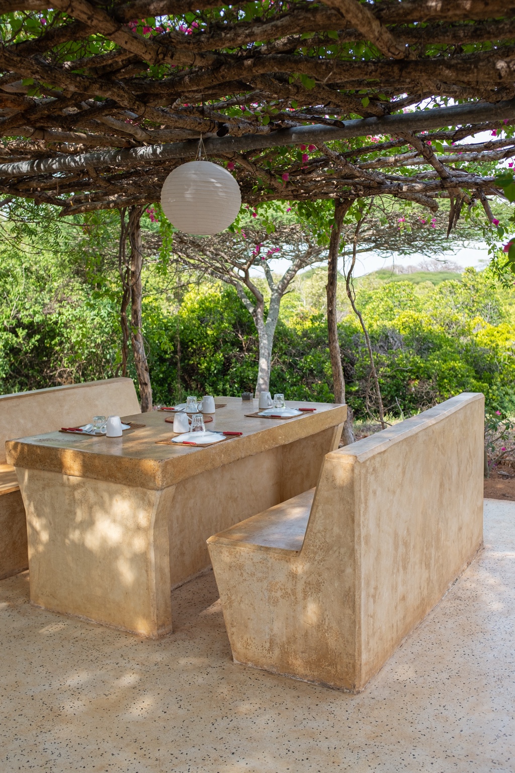 Outdoor dining table and built-in benches beneath a timber pergola covered in flowering bougainvillea